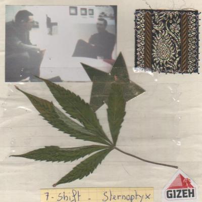 Sternophtyx