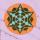 Crop Circle