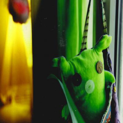 Monsieur Cochon Vert