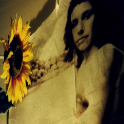 Tournesol et PJ Harvey