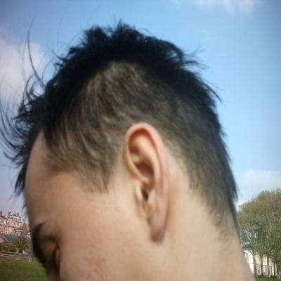 La coupe de Romuald