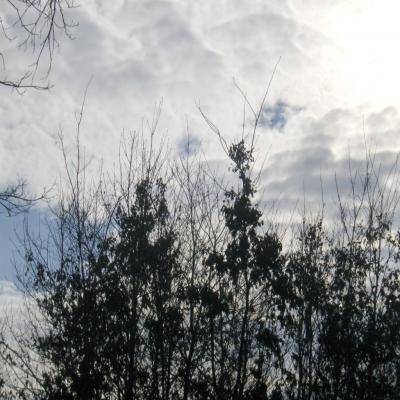 Cieux