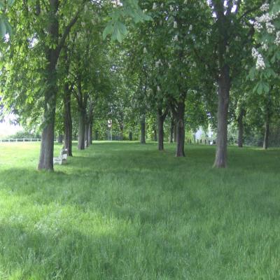 Un joli parc