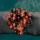 Corail